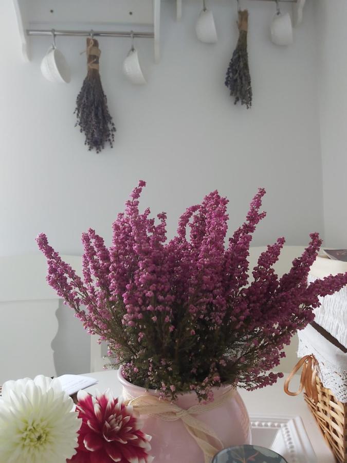 Appartamento Lawendowe Love Rynek Rzeszow Close Center Esterno foto